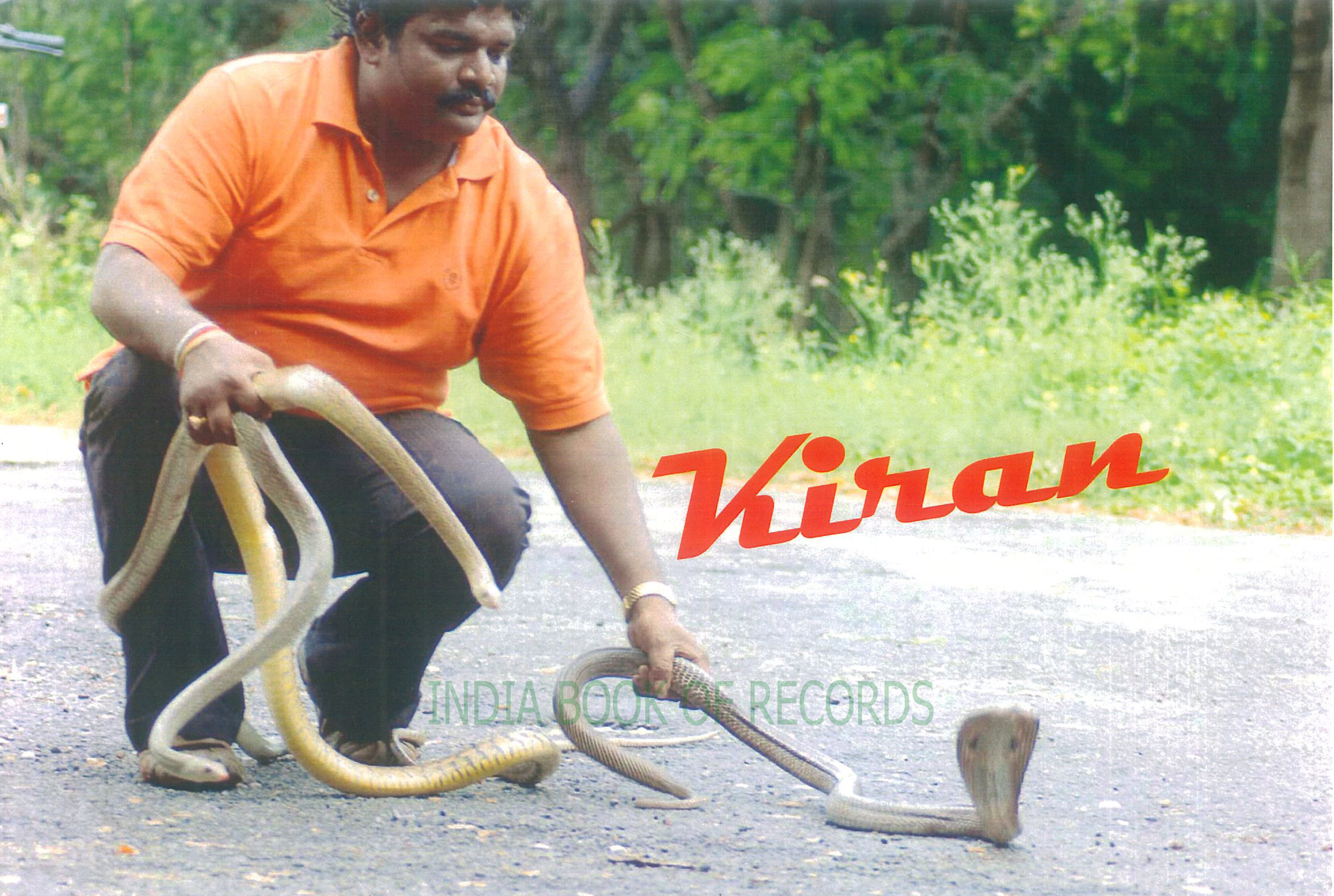 Image result for Snake Catcher india