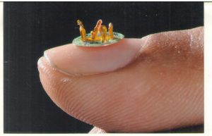 SMALLEST CRICKET GAME